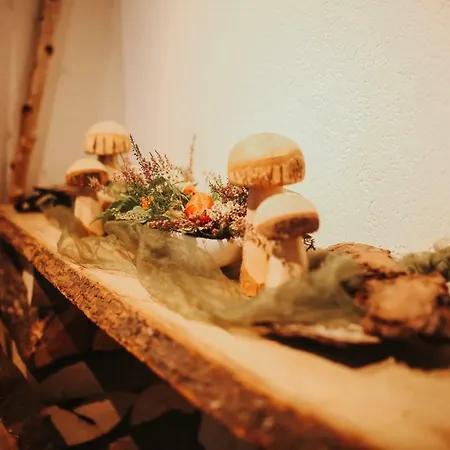 & Restaurant Adler 3*