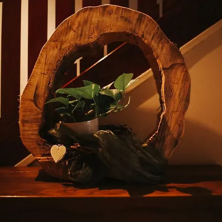 Hotel&restaurant Adler 3* Hornberg