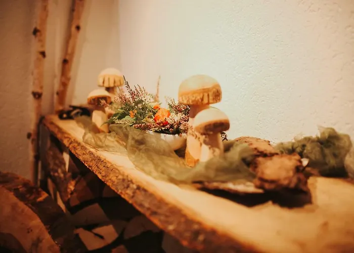 & Restaurant Adler 3*